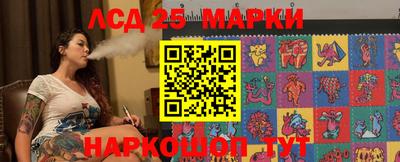 индика Вышний Волочёк