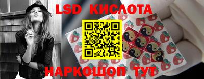 индика Вышний Волочёк