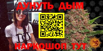 индика Вышний Волочёк