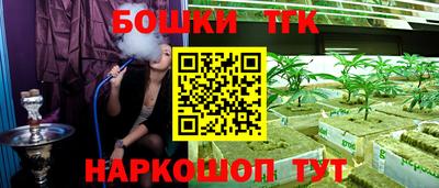 индика Вышний Волочёк