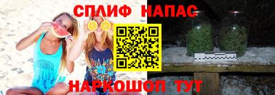 индика Вышний Волочёк