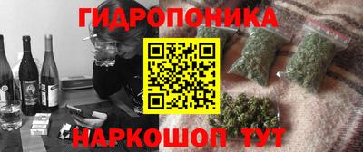 индика Вышний Волочёк