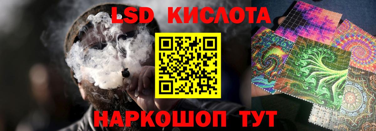Бошки Шишки Выборг