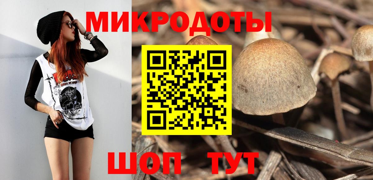 Галлюциногенные грибы Magic Shrooms  Псилоцибиновые грибы Cubensis  сколько стоит  Вход с VPN  Выборг 